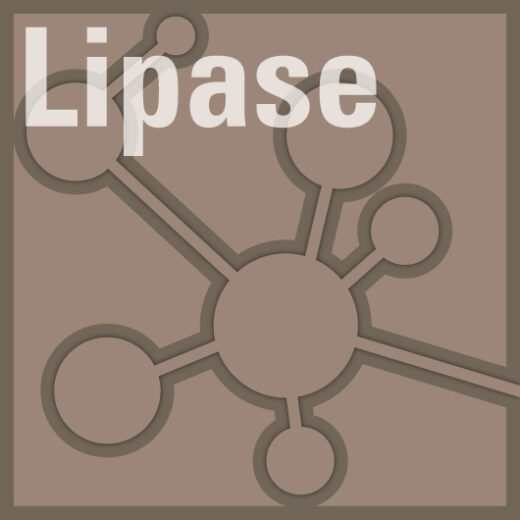 Lipase Sekisui Diagnostics