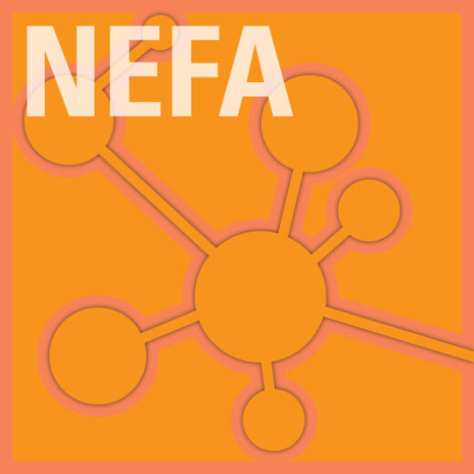 Nonesterified Fatty Acid Sekisui Diagnostics